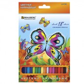 Карандаши цветные BRAUBERG "Wonderful butterfly", 18 цв, шестигранные, грифель 3 мм, натуральное дерево, 180550