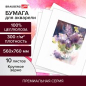 Бумага для акварели 300 г/м2 560x760 мм крупное зерно, 10 листов, BRAUBERG ART PREMIERE, 113239